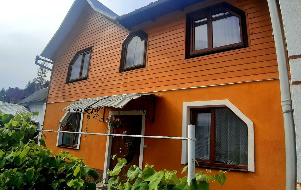 Guest House Karpaty Jaremtje Exteriör bild